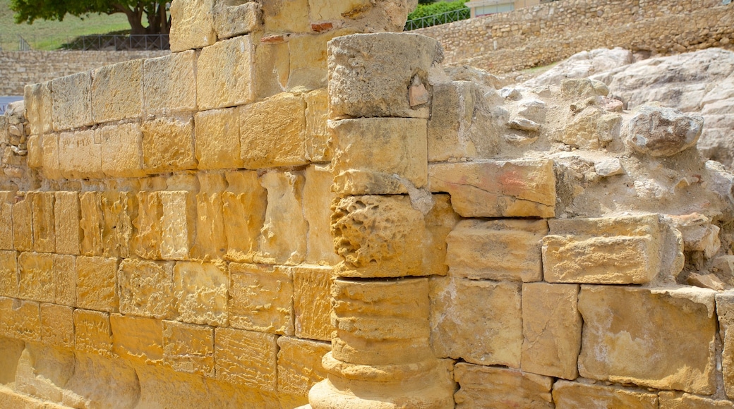 Tarragona Ampitheatre featuring heritage architecture and building ruins