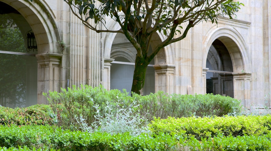 San Martino Pinario Monastery showing heritage architecture