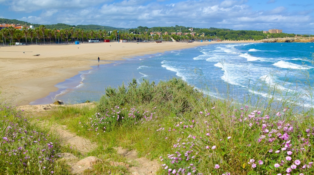 Playa de la Arrabassada mostrando una playa de arena, una bahía o un puerto y flores salvajes