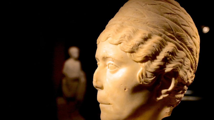 National Archaeological Museum of Tarragona which includes a statue or sculpture and interior views