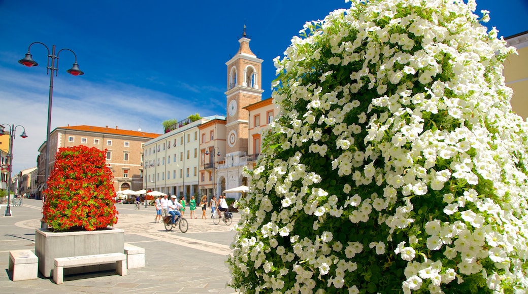 Piazza Tre Martiri mostrando strade, fiori di campo e fiori