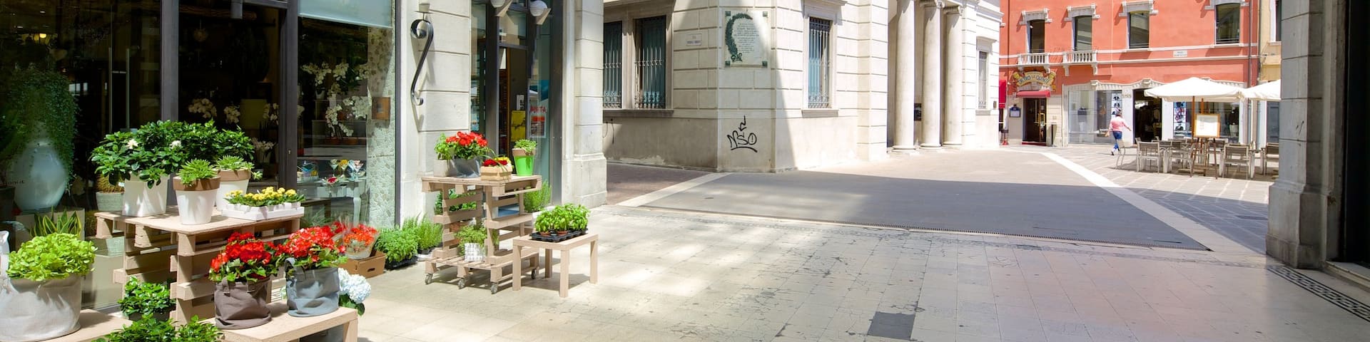 Mestre showing street scenes