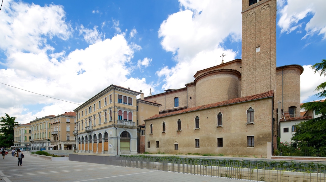 Mestre showing street scenes