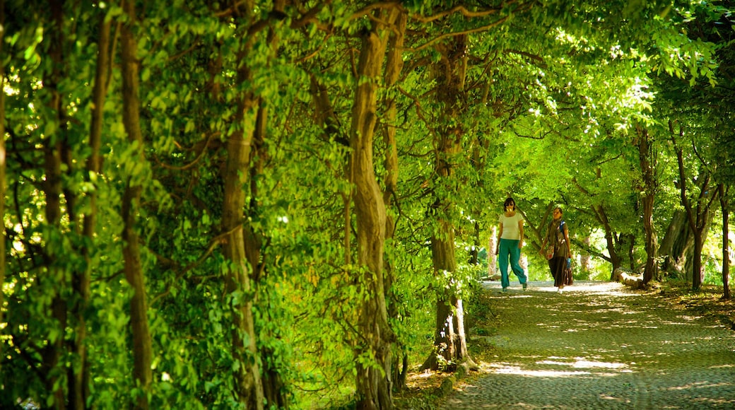 Palazzo Estense caratteristiche di parco cosi come un piccolo gruppo di persone