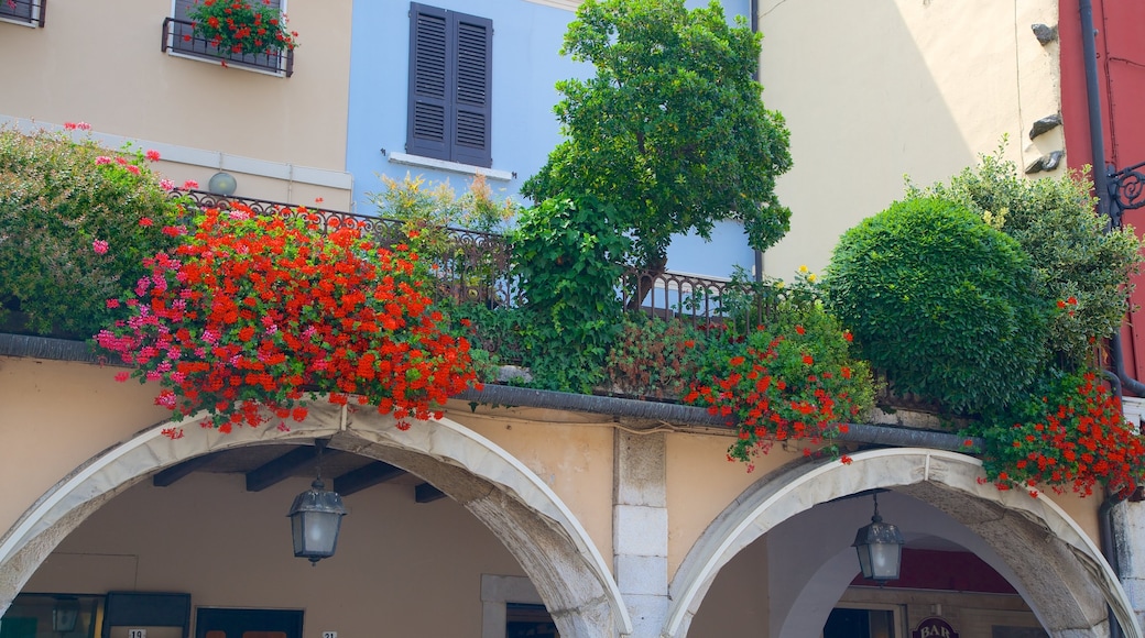 Desenzano del Garda som viser blomster