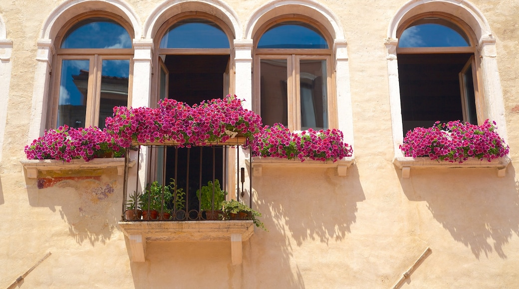 Piazza Ferretto montrant maison, fleurs sauvages et fleurs