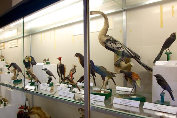 Rocca di Lonato qui includes vues intérieures