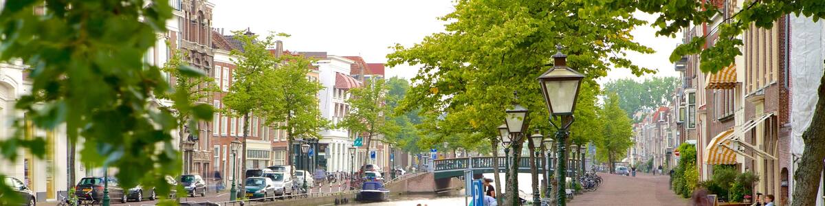 Leiden welches beinhaltet Bootfahren, Brücke und Straßenszenen