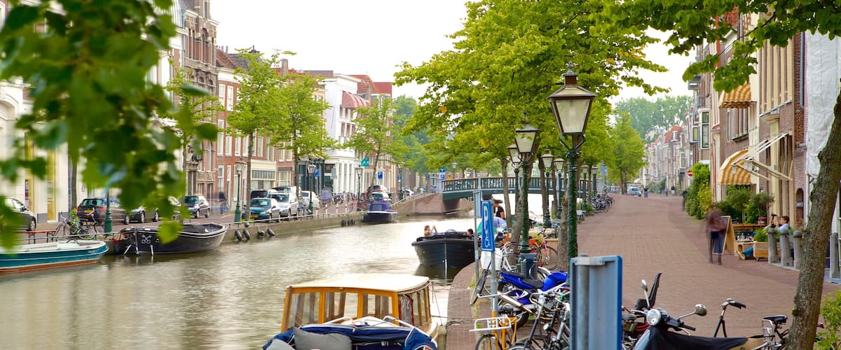 Leiden welches beinhaltet Bootfahren, Brücke und Straßenszenen