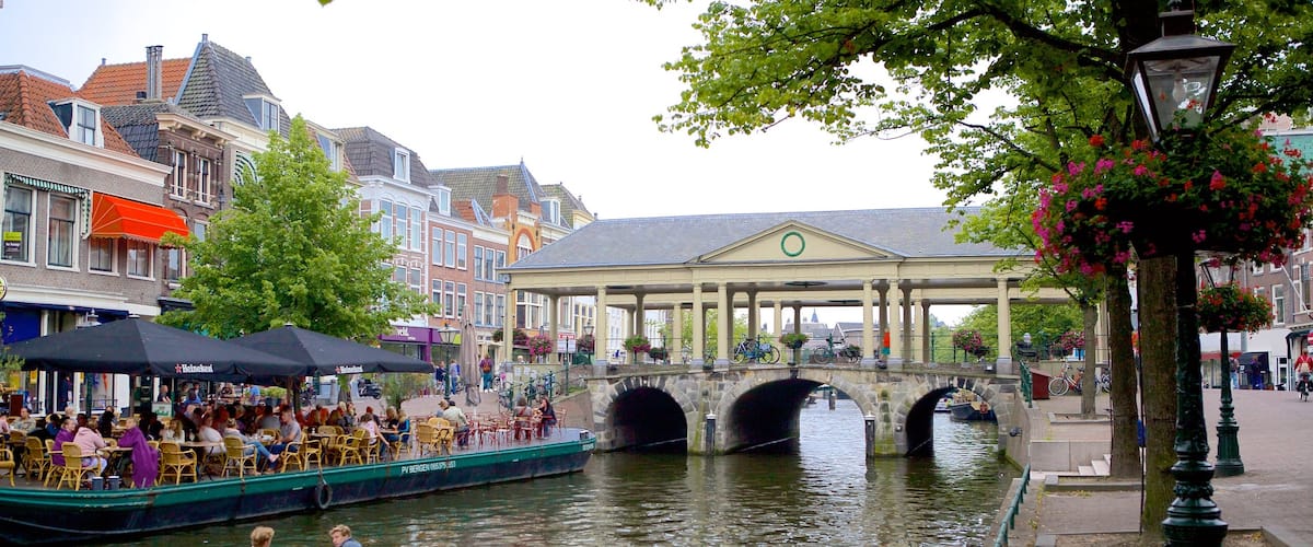 Leiden which includes a river or creek, a bridge and café lifestyle