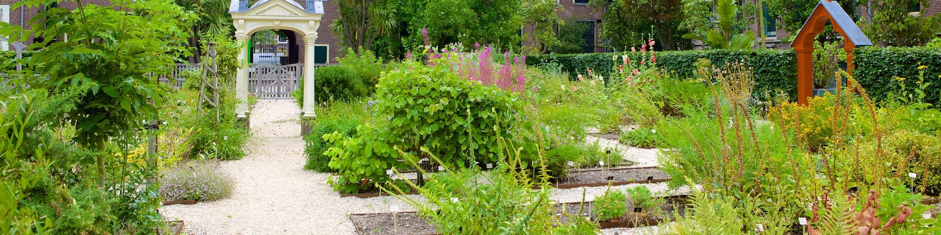 Hortus Botanicus showing heritage architecture, flowers and a garden