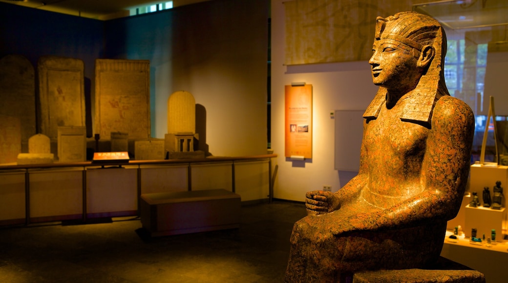 Rijksmuseum van Oudheden che include vista interna e statua o scultura