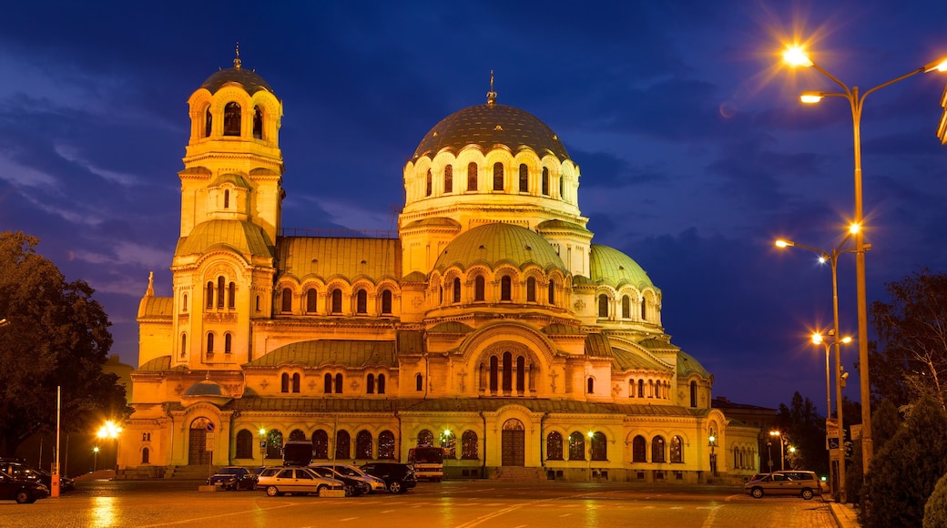 Alexander Nevski Cathedral which includes night scenes, heritage architecture and a church or cathedral