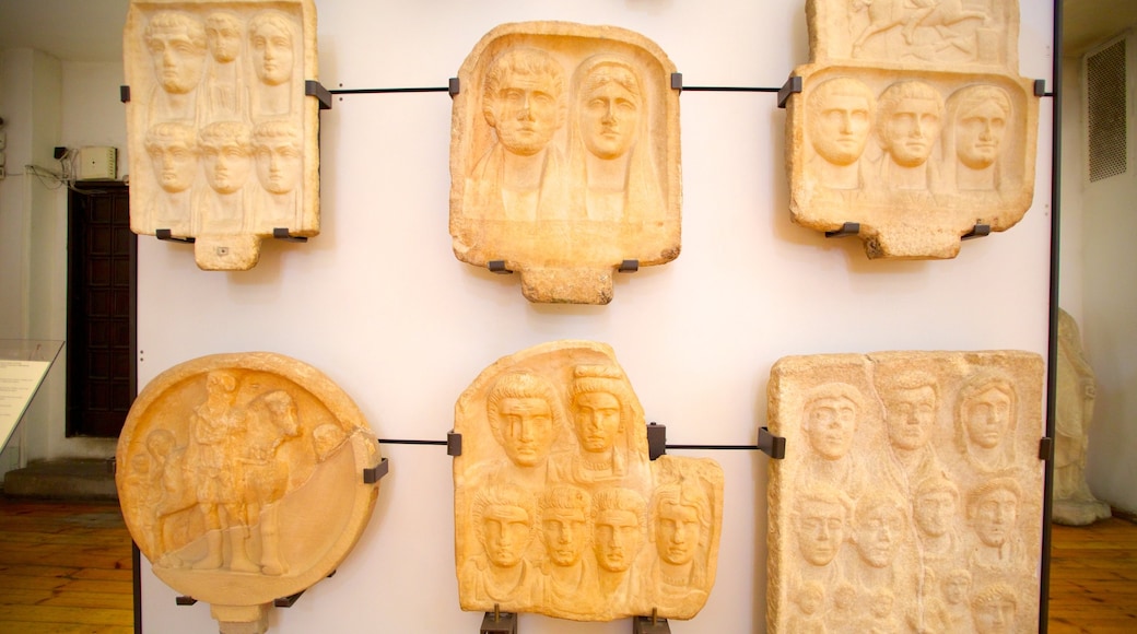 Museo Arqueológico que incluye vistas interiores