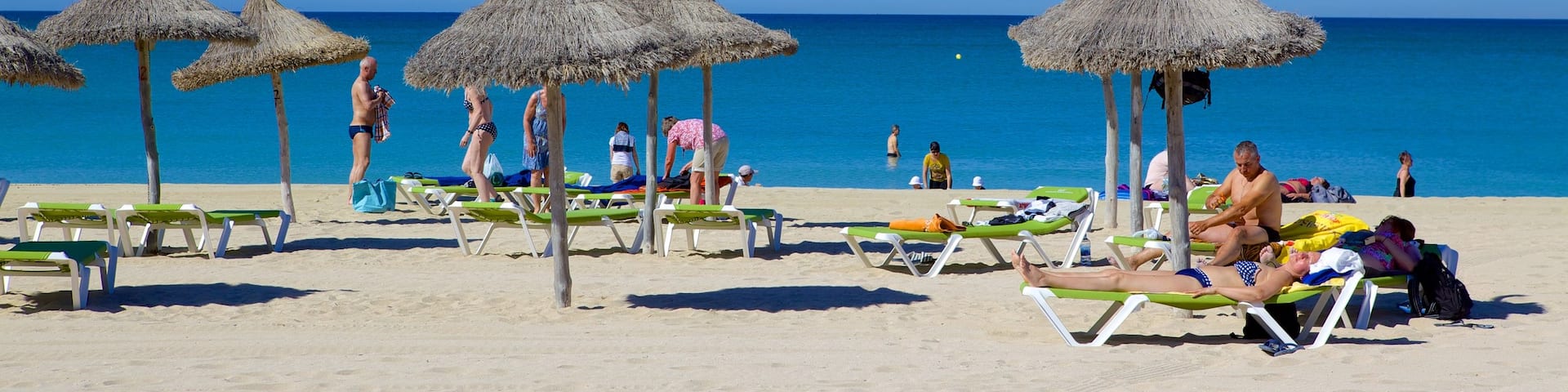 Palma de Majorque montrant plage aussi bien que important groupe de personnes