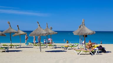 Palma de Mallorca showing a beach as well as a large group of people