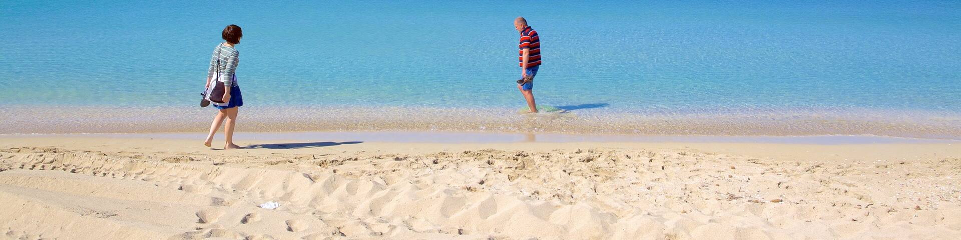 Palma de Mallorca which includes a sandy beach as well as a couple