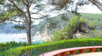 Jardines de Santa Clotilde mostrando un jardín