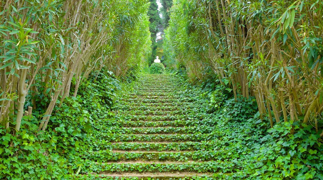 Jardins Santa Clotilde montrant jardin