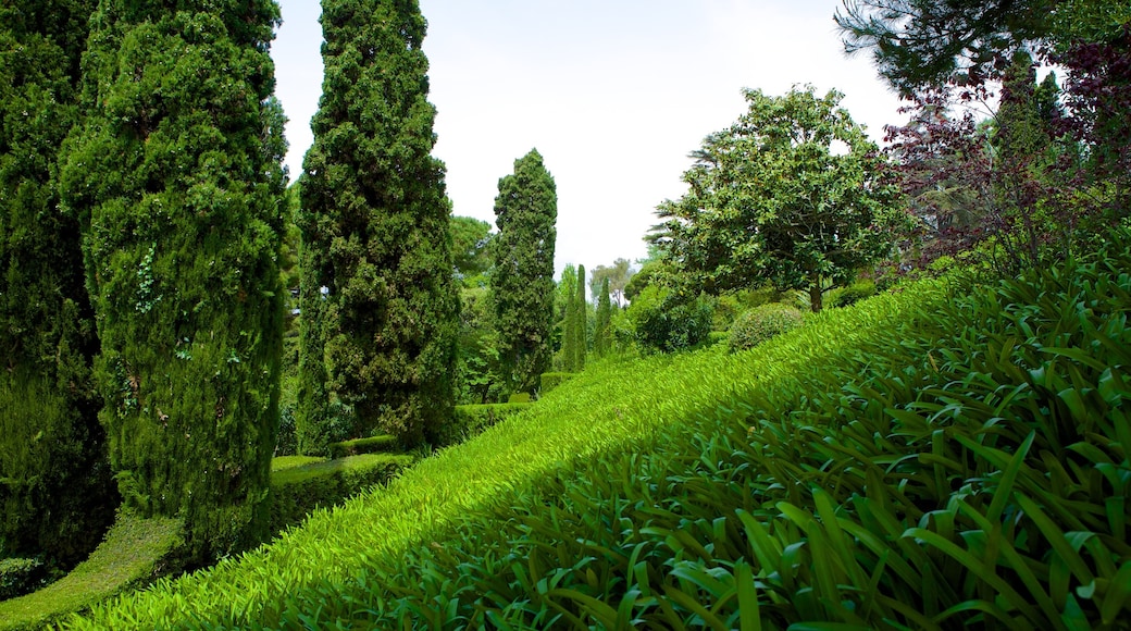 Jardins de Santa Clotilde caracterizando um jardim