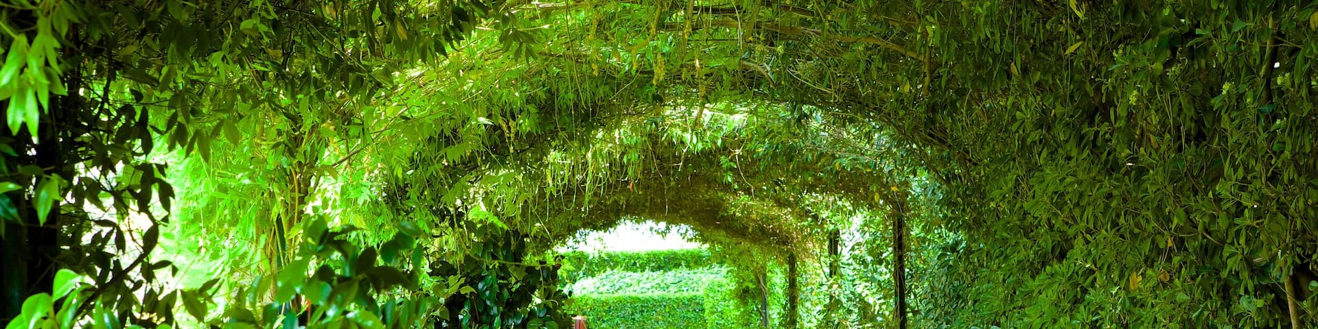 Jardins Santa Clotilde mettant en vedette parc