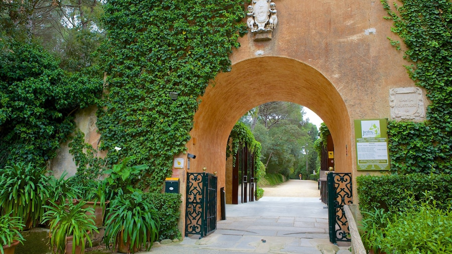 Jardines de Santa Clotilde que incluye un jardín