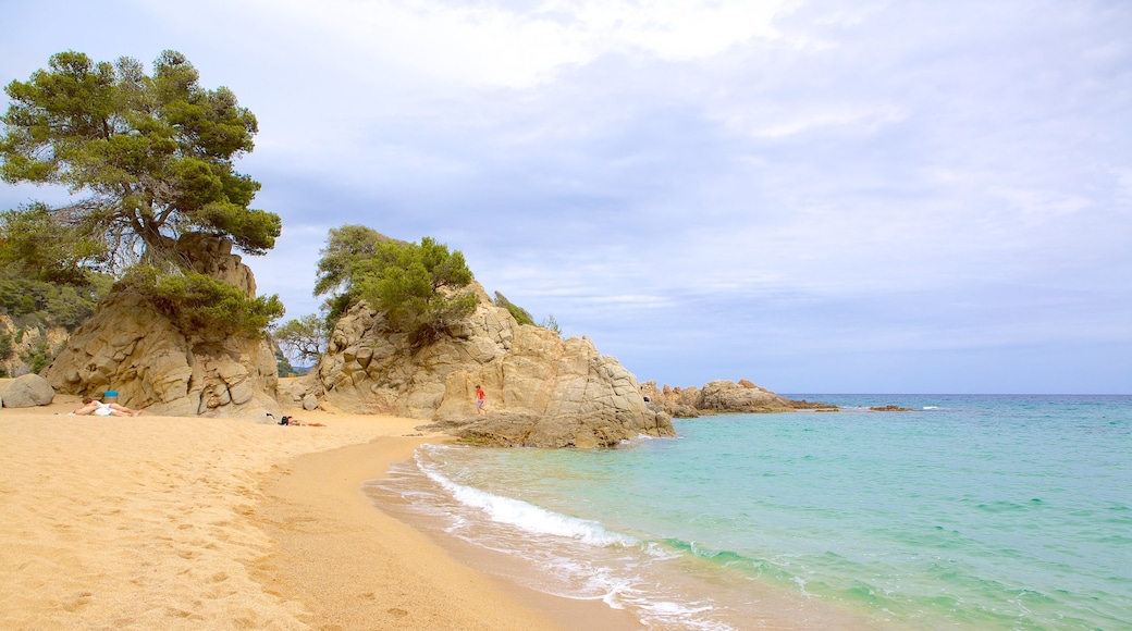 Plage Cala Treumal mettant en vedette plage