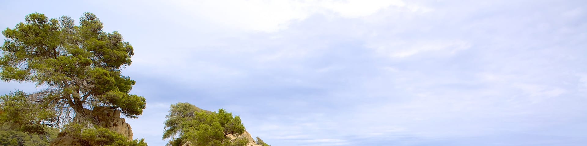 Treumal Beach featuring a beach