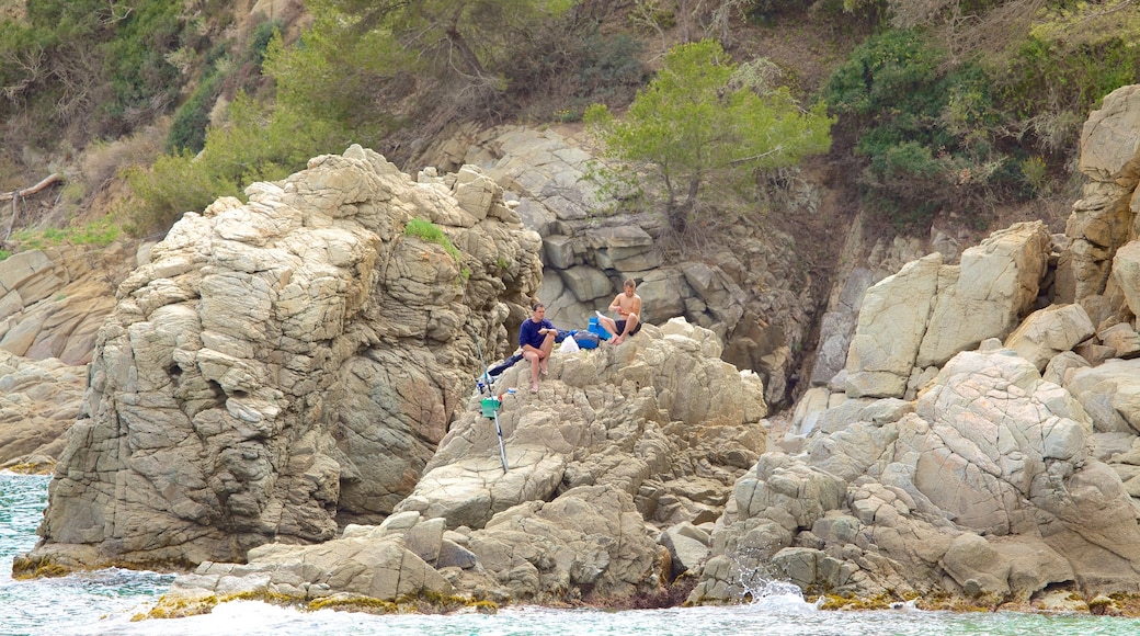 Pantai Treumal