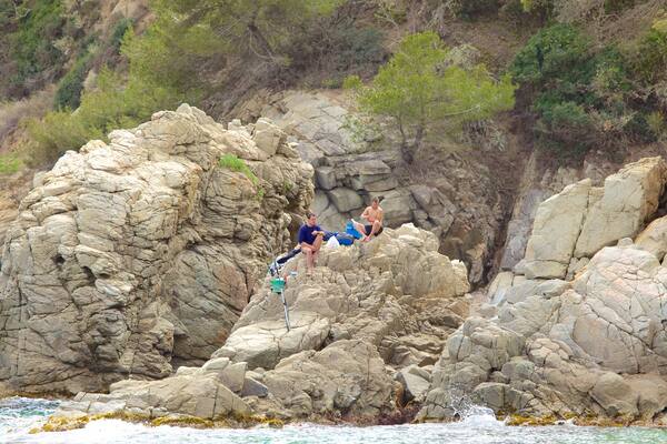 Strand Treumal welches beinhaltet Felsküste und allgemeine Küstenansicht sowie kleine Menschengruppe