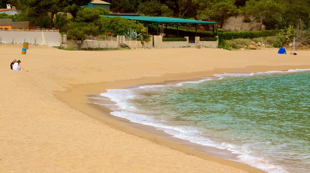 Treumal Beach featuring a sandy beach