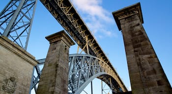 Dom Luis I Bridge showing a bridge