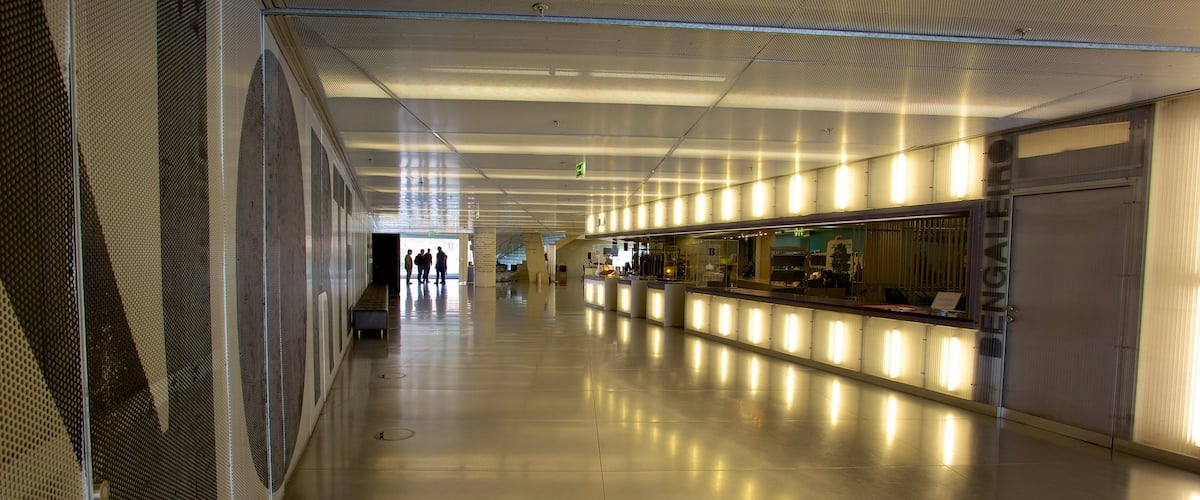 Casa da Musica mettant en vedette vues intérieures