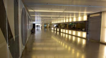 Casa da Musica featuring interior views