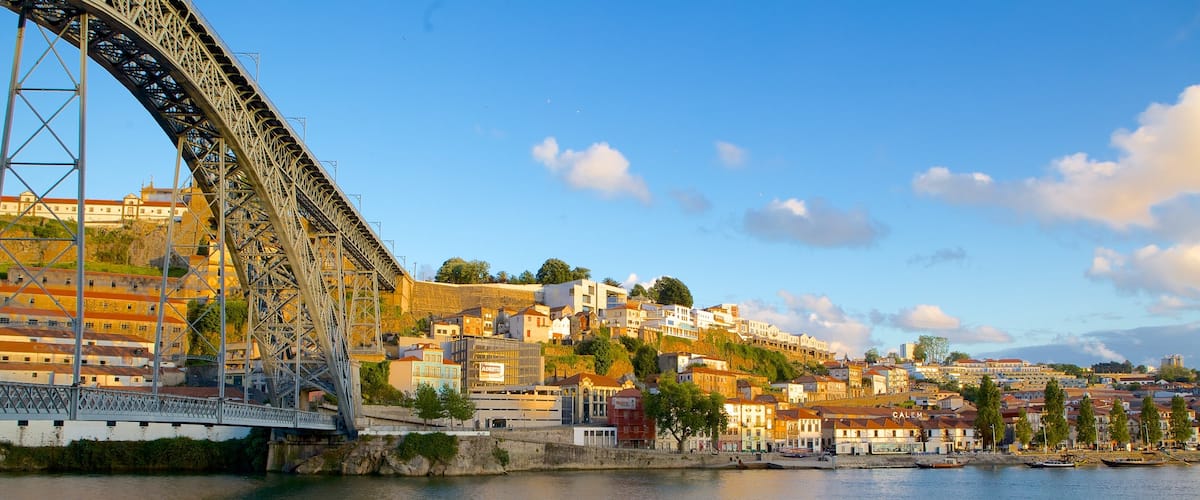 Dom Luis I Bridge featuring a bridge, a coastal town and a river or creek
