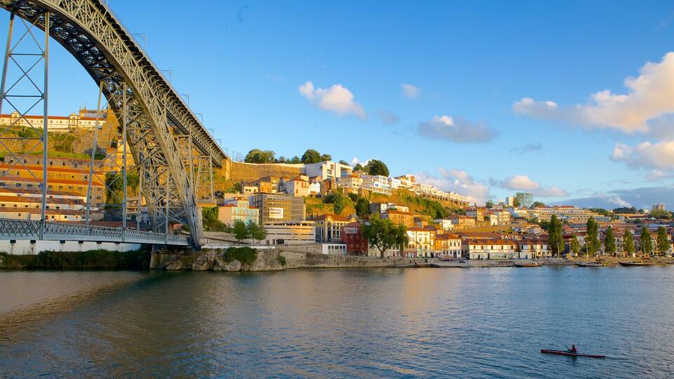 Dom Luis I Bridge showing a bridge, a suspension bridge or treetop walkway and a coastal town
