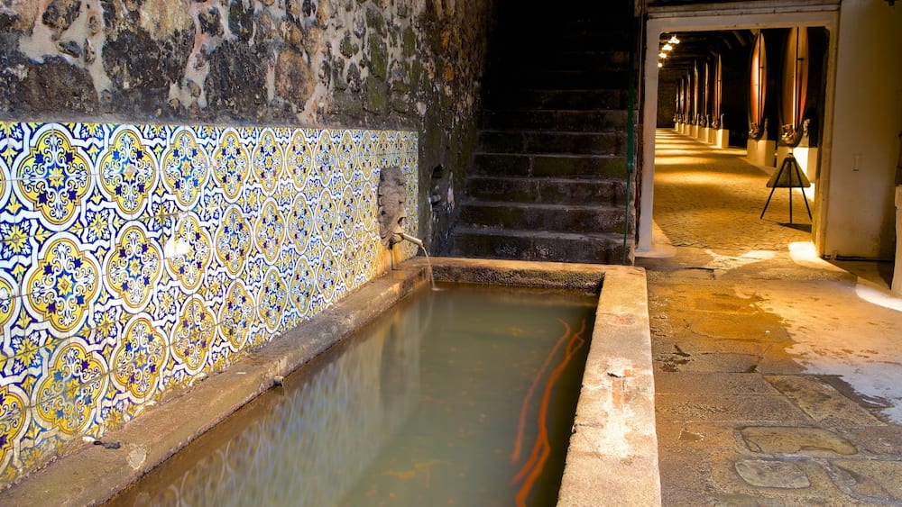 Sandeman Cellars welches beinhaltet Innenansichten und historische Architektur