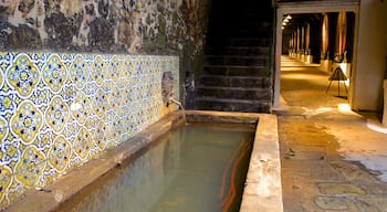 Sandeman Cellars showing heritage architecture and interior views