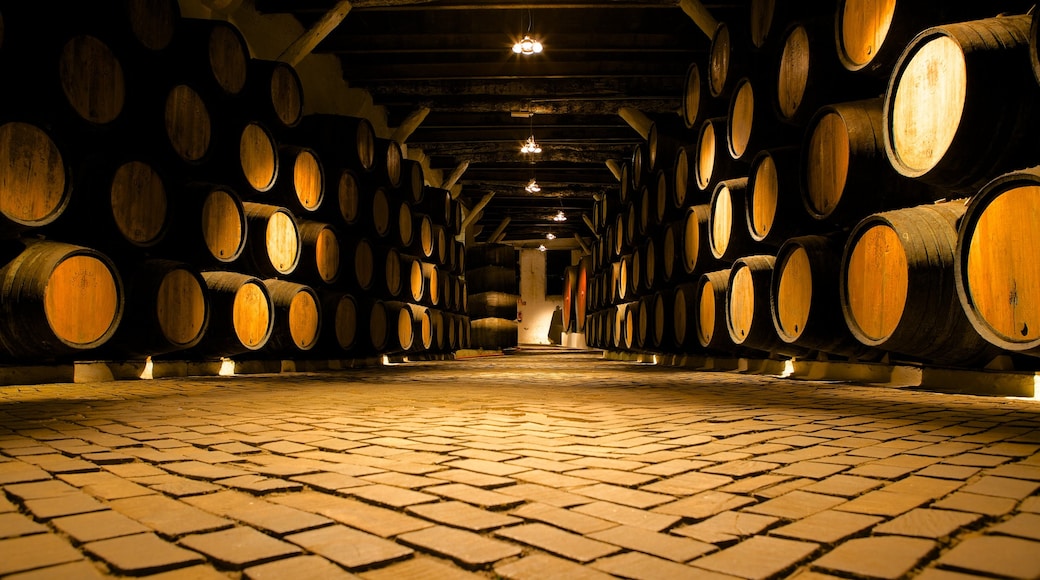 Sandeman Cellars featuring interior views