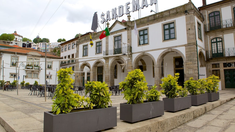 Sandeman Cellars toont een plein, bewegwijzering en een klein stadje of dorpje