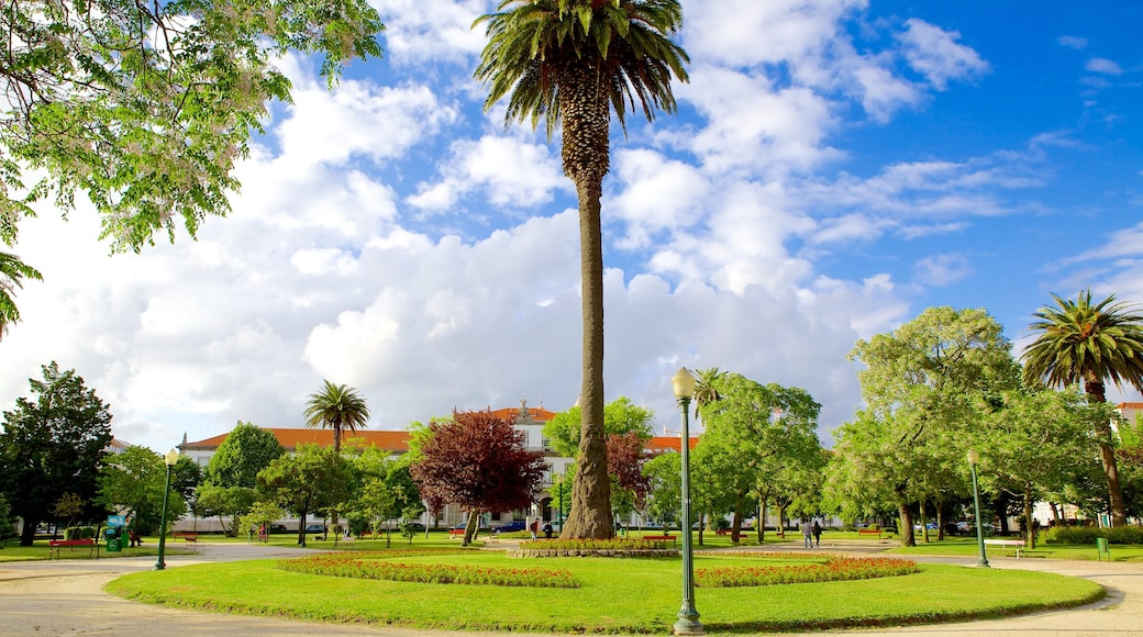 Praça da Republica ofreciendo una pequeña ciudad o pueblo y un parque