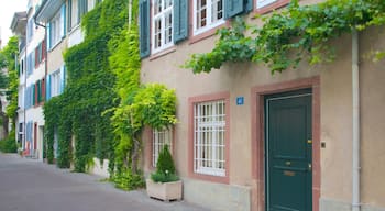 Basel showing street scenes and a house