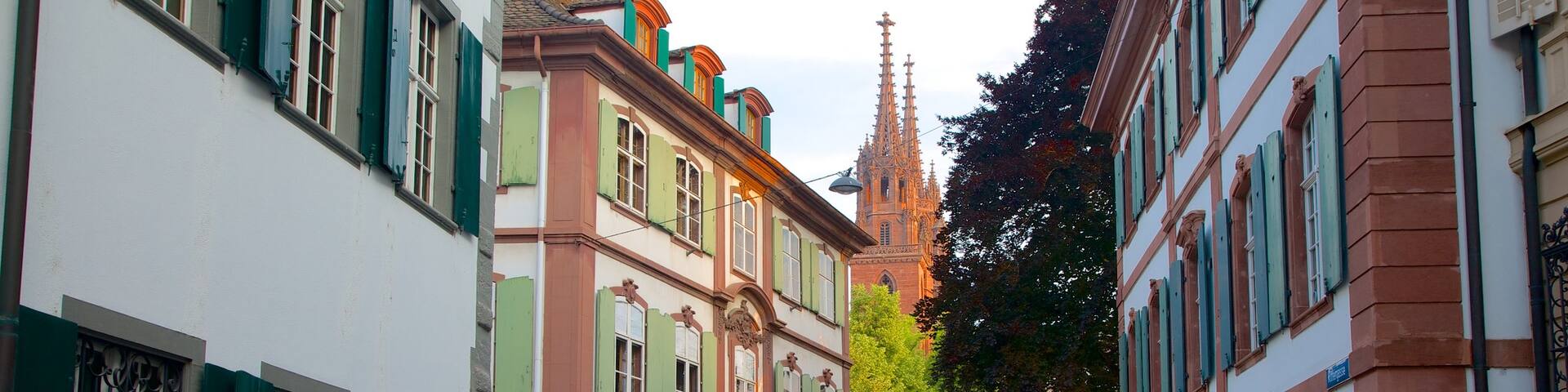Basel showing street scenes