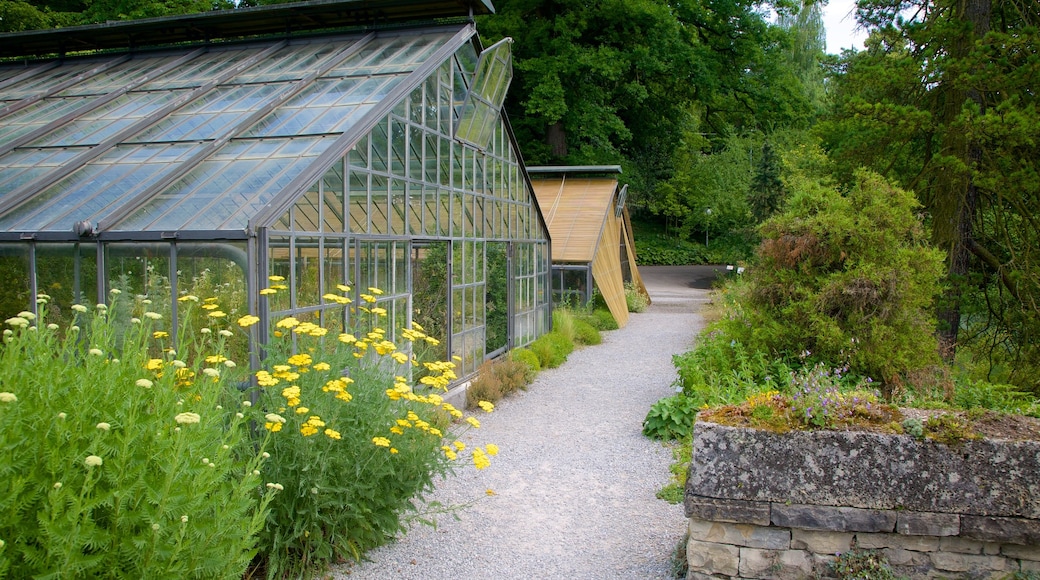 Jardin botanique mettant en vedette parc