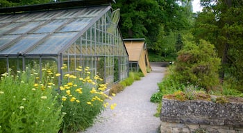 Jardín botánico ofreciendo un jardín