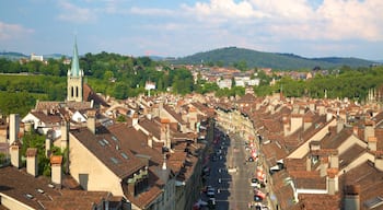 Clock Tower showing landscape views and a city