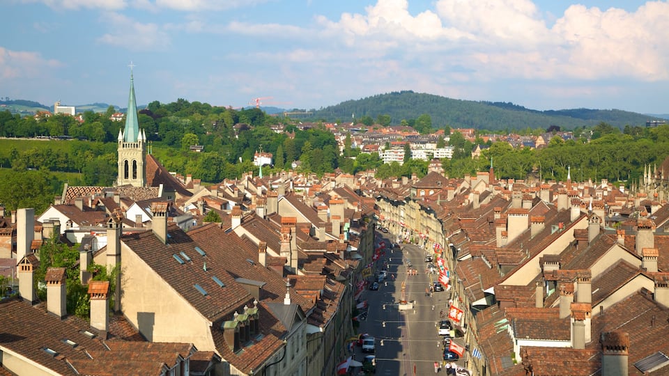 Old City of Bern featuring landscape views and a city