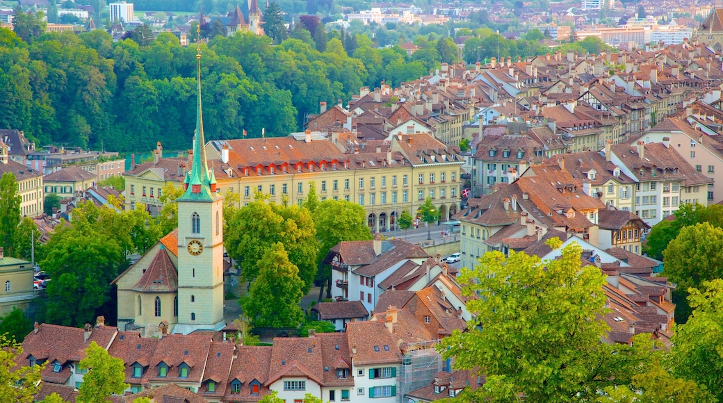 Bern Rose Garden showing a city