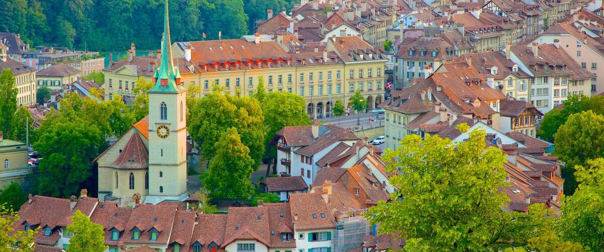 Bern Rose Garden which includes a city