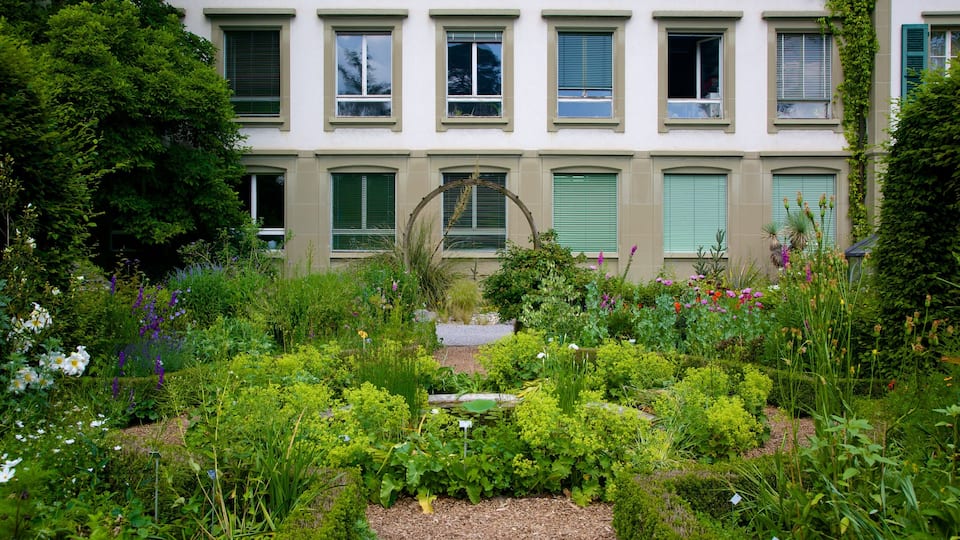 Botanical Garden showing a garden
